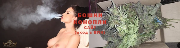 прущая мука Арсеньев