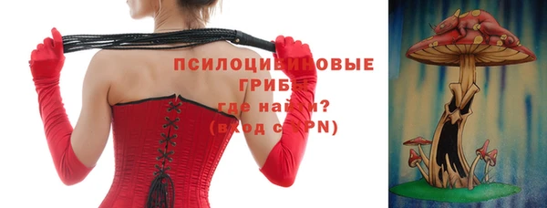 прущая мука Арсеньев